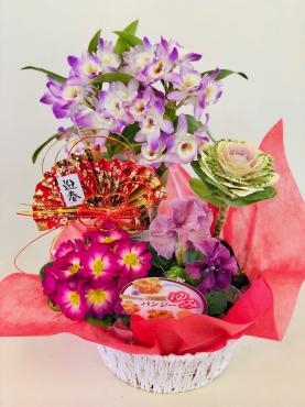 お年賀のお花　寄せ鉢｜「彩季舎」　（群馬県高崎市の花キューピット加盟店 花屋）のブログ