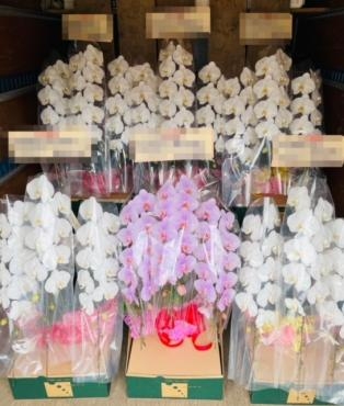 紅一点｜「彩季舎」　（群馬県高崎市の花キューピット加盟店 花屋）のブログ
