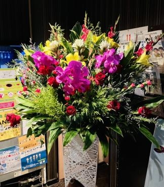 バンダピンク｜「彩季舎」　（群馬県高崎市の花キューピット加盟店 花屋）のブログ