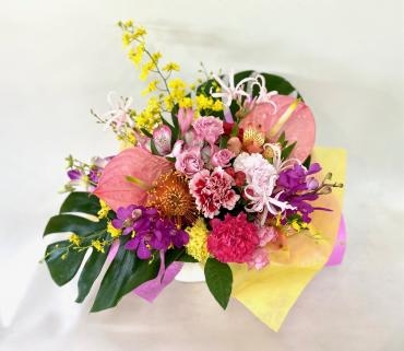 フラ(hula)｜「彩季舎」　（群馬県高崎市の花キューピット加盟店 花屋）のブログ