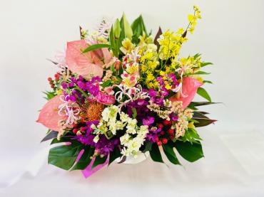 フラ(hula)　Ⅱ｜「彩季舎」　（群馬県高崎市の花キューピット加盟店 花屋）のブログ