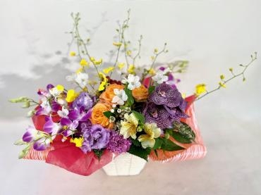 蘭いろいろ｜「彩季舎」　（群馬県高崎市の花キューピット加盟店 花屋）のブログ