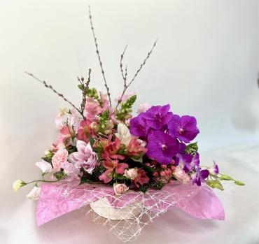 早春の訪れ｜「彩季舎」　（群馬県高崎市の花キューピット加盟店 花屋）のブログ