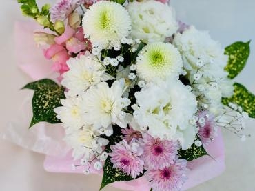 愛らしい小さな家族｜「彩季舎」　（群馬県高崎市の花キューピット加盟店 花屋）のブログ