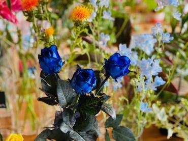 青いバラの花束｜「彩季舎」　（群馬県高崎市の花キューピット加盟店 花屋）のブログ