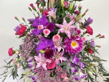 洋蘭の女王｜「彩季舎」　（群馬県高崎市の花キューピット加盟店 花屋）のブログ