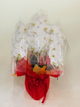 リニューアルオープンのお祝い｜「彩季舎」　（群馬県高崎市の花キューピット加盟店 花屋）のブログ