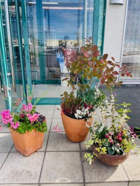 プランターと花壇の植え替え|「彩季舎」　（群馬県高崎市の花屋）のブログ