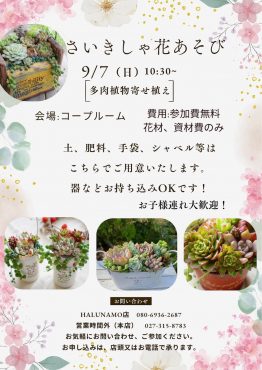 ワークショップ　多肉植物の寄せ植え｜「彩季舎」　（群馬県高崎市の花キューピット加盟店 花屋）のブログ
