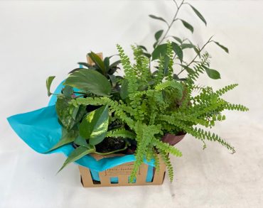 プランツアレンジ　寄せ鉢