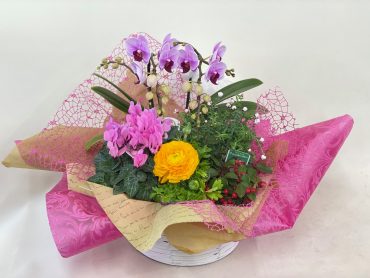プランツアレンジ・寄せ鉢｜「彩季舎」　（群馬県高崎市の花キューピット加盟店 花屋）のブログ