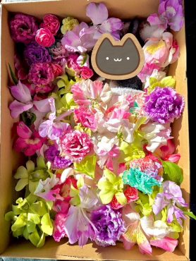 ペット　お見送り花　お別れ花｜「彩季舎」　（群馬県高崎市の花キューピット加盟店 花屋）のブログ
