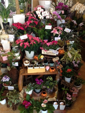 「彩季舎」　（群馬県高崎市）の花屋店舗写真3